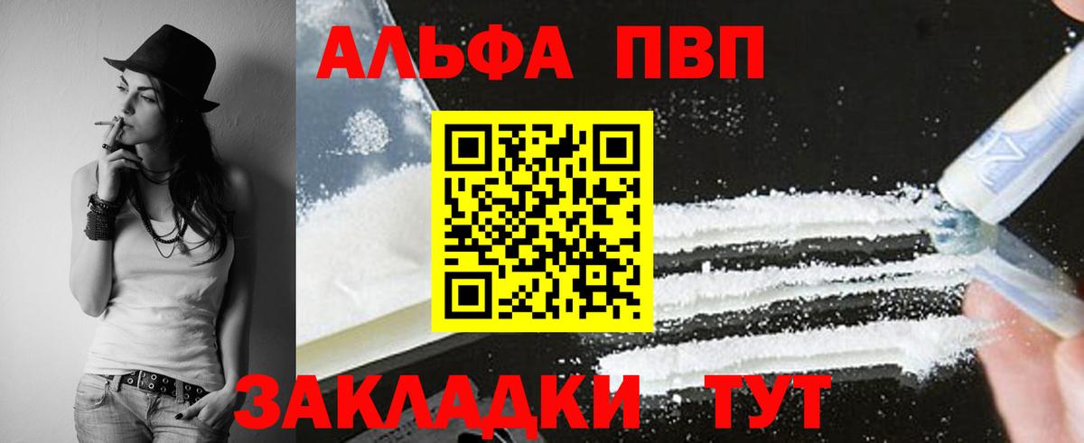 A PVP СК КРИС Самара
