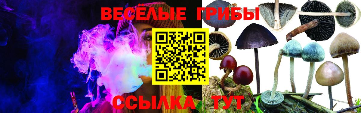 Самара  Псилоцибиновые грибы мицелий  Вход с VPN  Галлюциногенные грибы GOLDEN TEACHER 