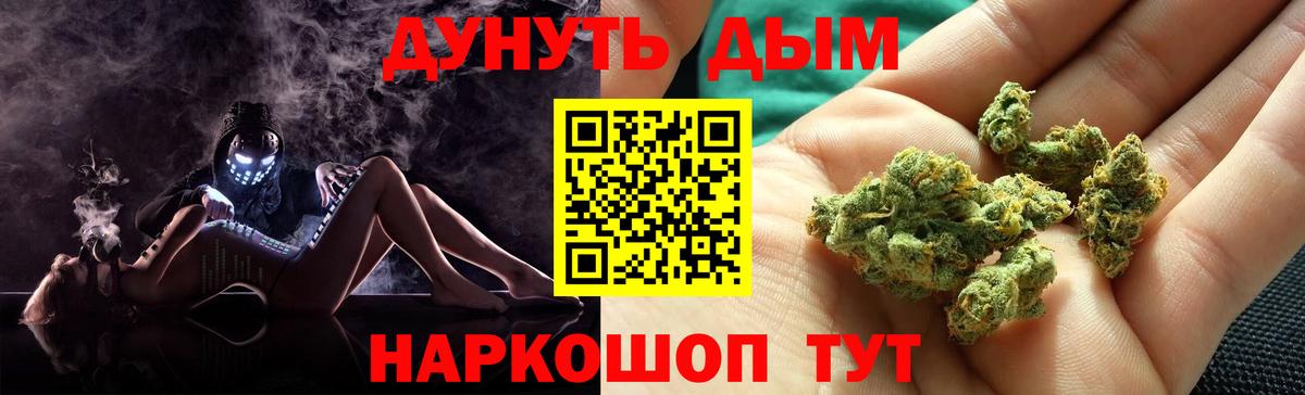 Конопля план Самара